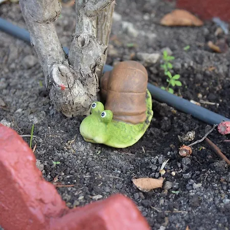 La Casa De Duendes *