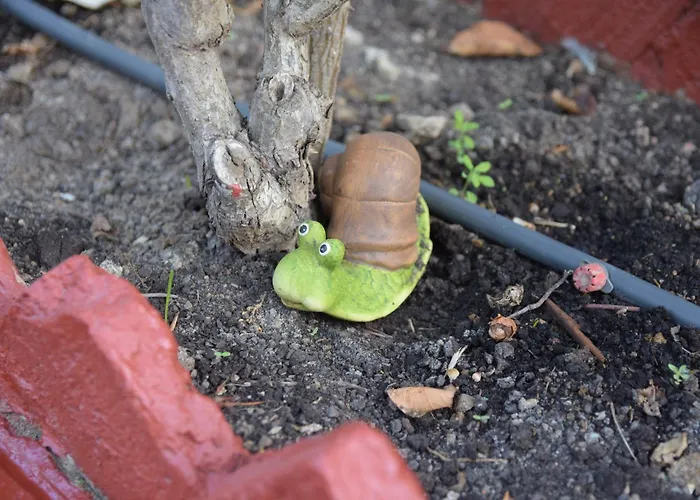 La Casa De Duendes *